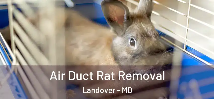  Air Duct Rat Removal Landover - MD