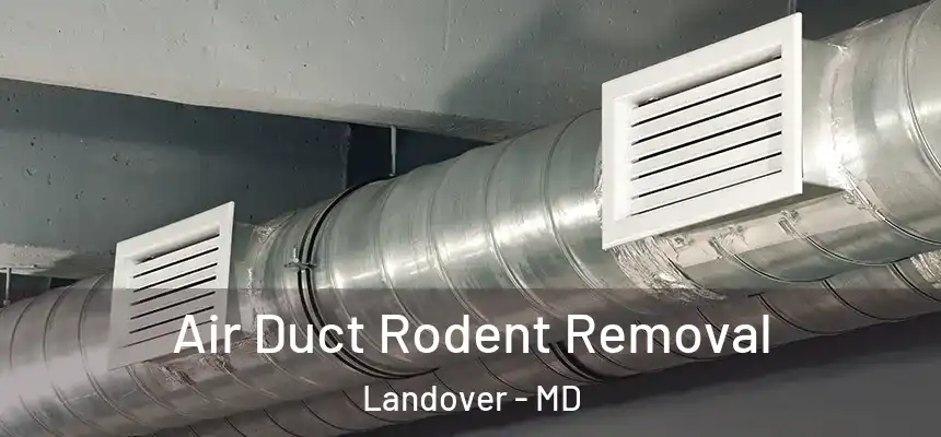 Air Duct Rodent Removal Landover - MD