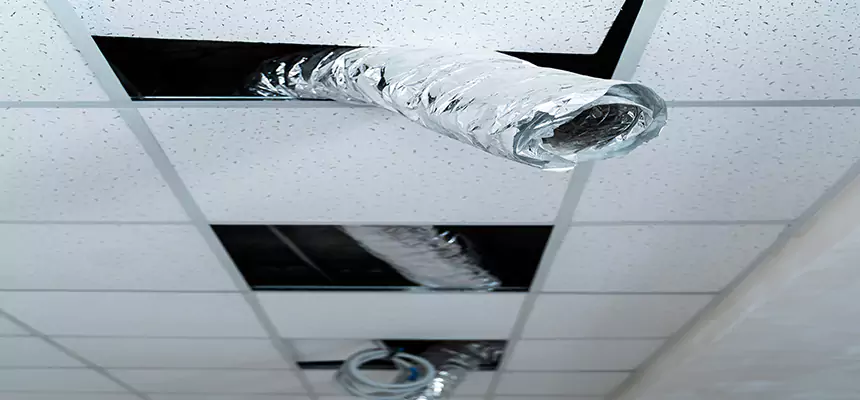 Our Air Duct Pet Hair Removal Services in Landover, MD