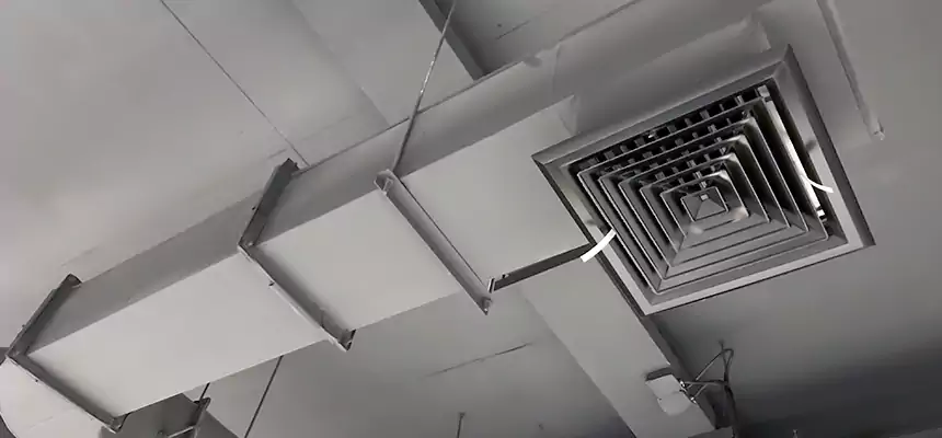 Our Pest Removal From Ducts Services in Landover, MD