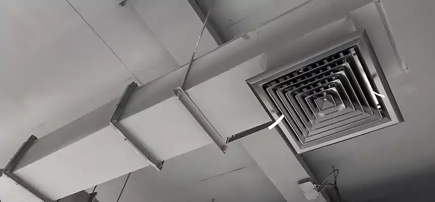 Our Rodent Droppings In Vents Services in Landover, MD