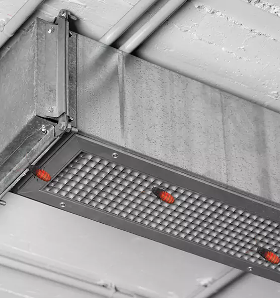 About Air Duct Cockroach Removal in Landover, MD