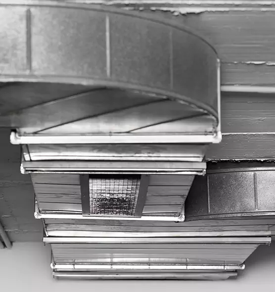 Professional Air Duct Pet Hair Removal in Landover, MD