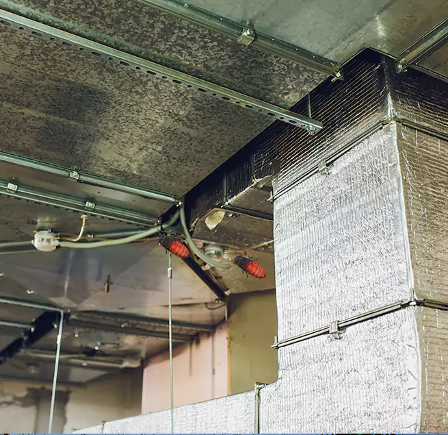 Why Homeowners & Businesses Trust Us in Landover, MD?