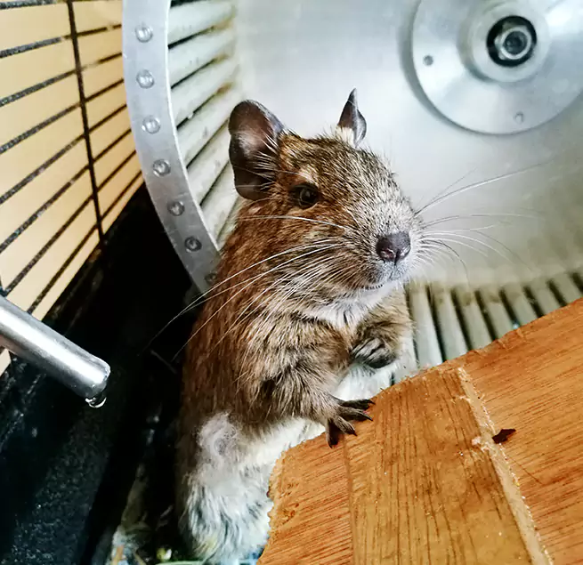 Why Homeowners & Businesses Trust Us Landover, MD?